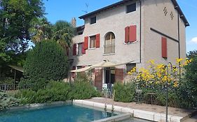 La Lepre Bianca
